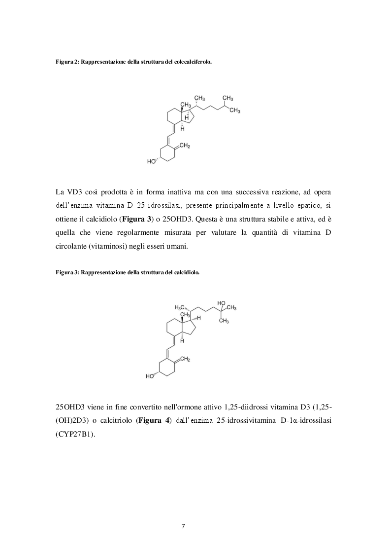 Anteprima della tesi: Il ruolo della Vitamina D nella neurogenesi: implicazioni nella malattia di Alzheimer, Pagina 3