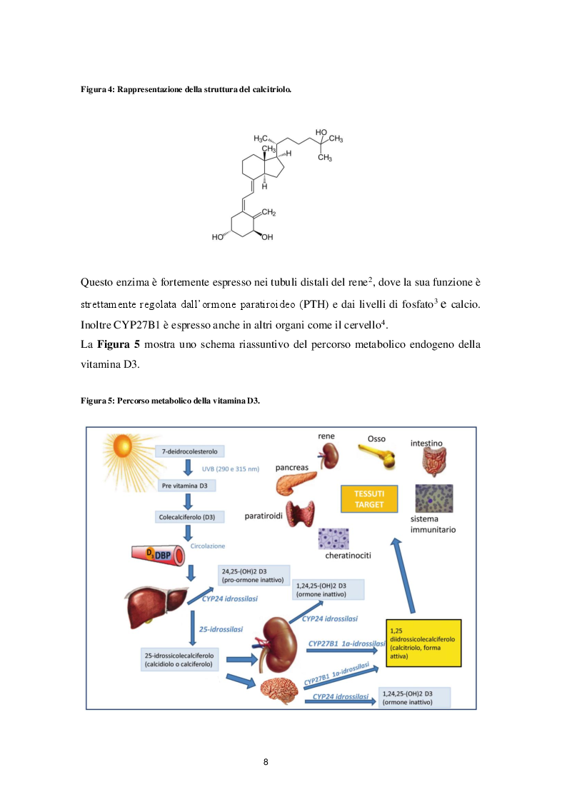 Anteprima della tesi: Il ruolo della Vitamina D nella neurogenesi: implicazioni nella malattia di Alzheimer, Pagina 4