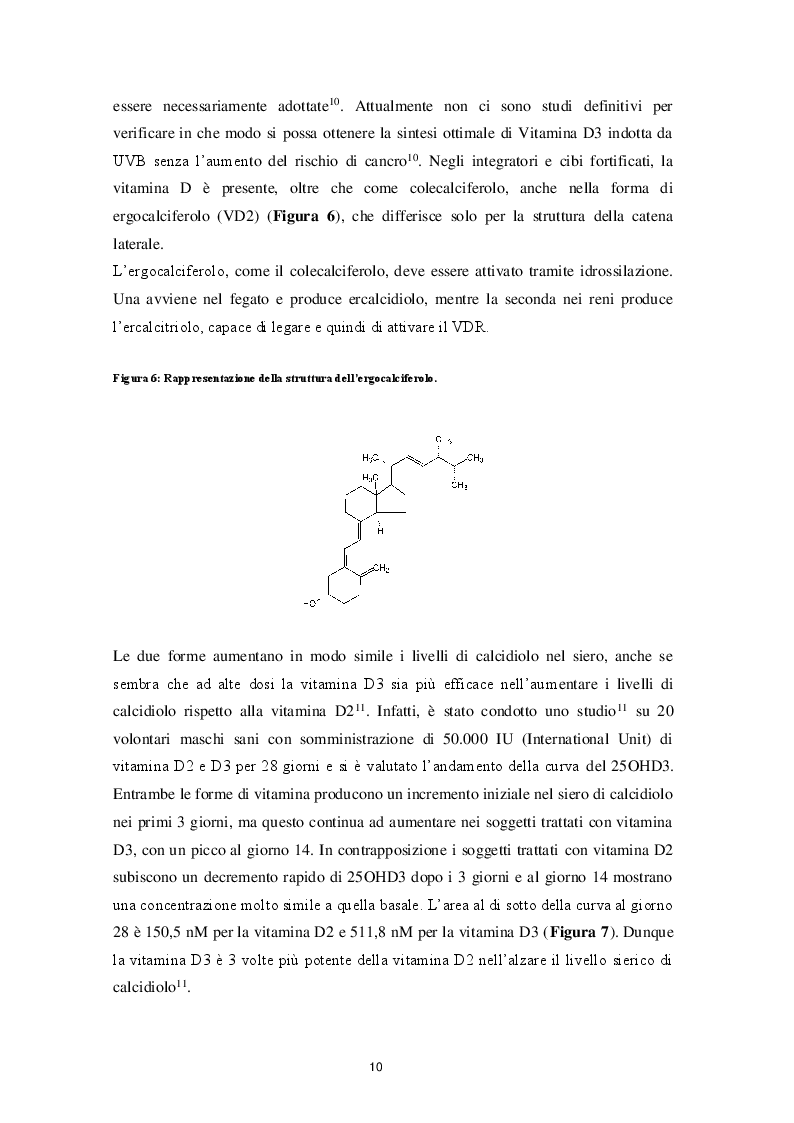 Anteprima della tesi: Il ruolo della Vitamina D nella neurogenesi: implicazioni nella malattia di Alzheimer, Pagina 6