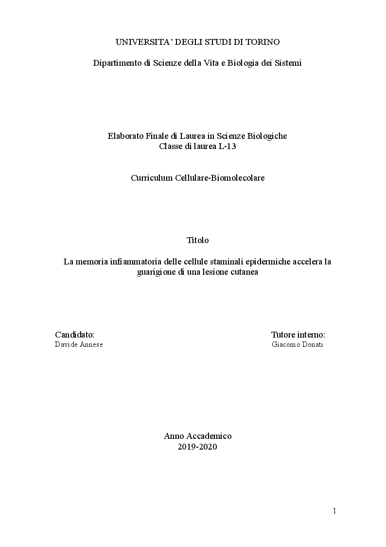 Anteprima della tesi: La memoria infiammatoria delle cellule staminali epidermiche accelera la guarigione di una lesione cutanea, Pagina 1