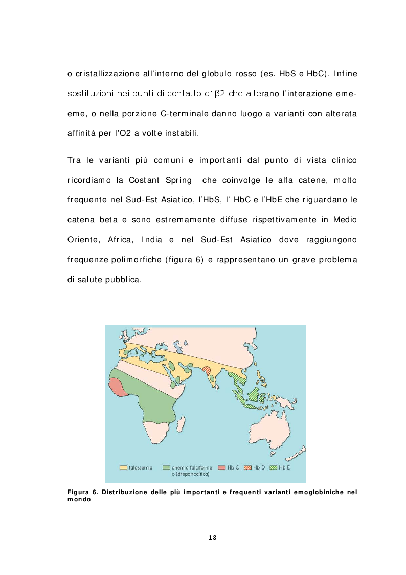 Anteprima della tesi: Caratterizzazione molecolare ed eterogenicità delle varianti emoglobiniche in Sardegna, Pagina 8
