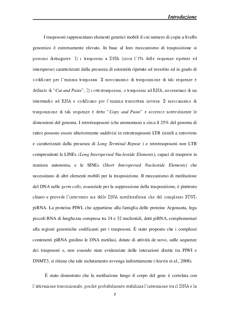Anteprima della tesi: Effetti molecolari della Cortical Spreading Depression sulle DNA metiltrasferasi e sullo stato di metilazione del DNA in sistemi modello, Pagina 4