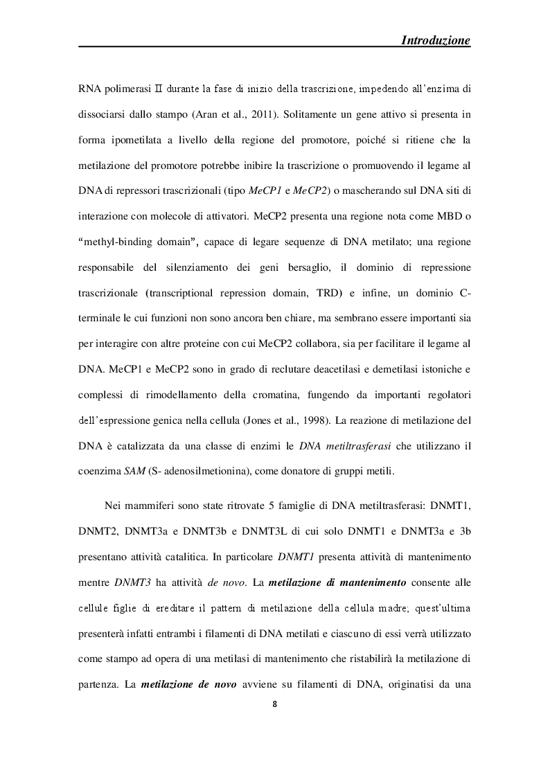 Anteprima della tesi: Effetti molecolari della Cortical Spreading Depression sulle DNA metiltrasferasi e sullo stato di metilazione del DNA in sistemi modello, Pagina 5