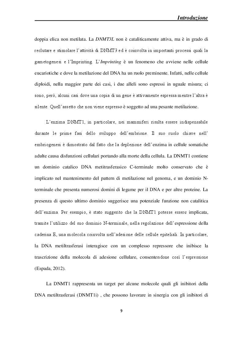 Anteprima della tesi: Effetti molecolari della Cortical Spreading Depression sulle DNA metiltrasferasi e sullo stato di metilazione del DNA in sistemi modello, Pagina 6