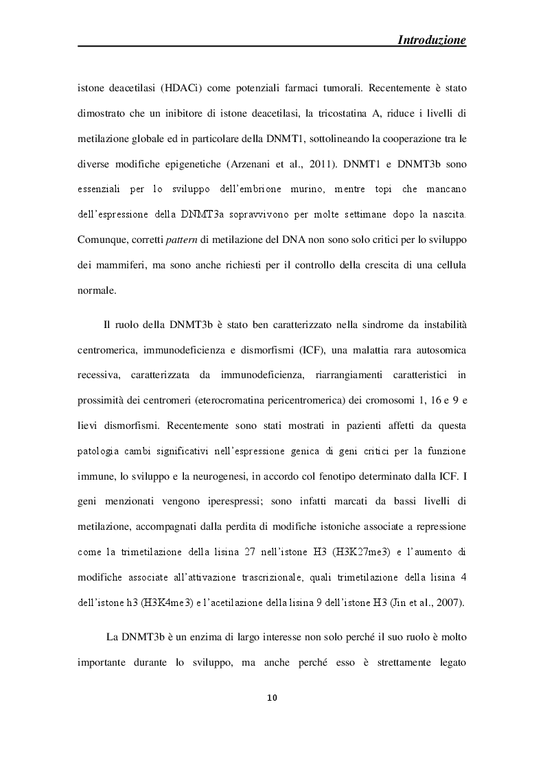 Anteprima della tesi: Effetti molecolari della Cortical Spreading Depression sulle DNA metiltrasferasi e sullo stato di metilazione del DNA in sistemi modello, Pagina 7