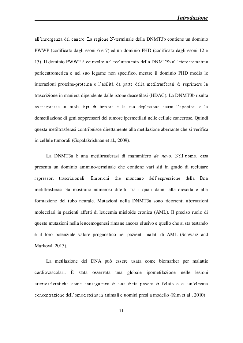 Anteprima della tesi: Effetti molecolari della Cortical Spreading Depression sulle DNA metiltrasferasi e sullo stato di metilazione del DNA in sistemi modello, Pagina 8