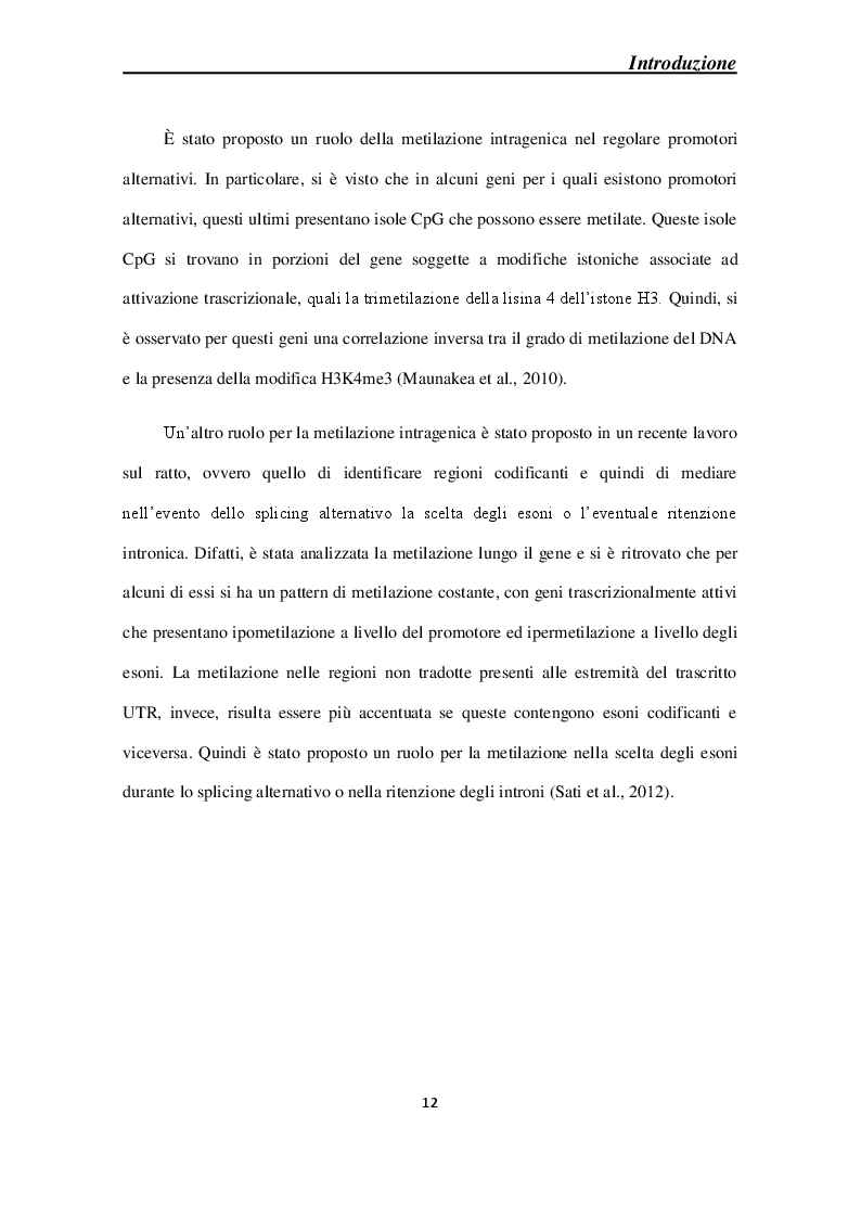 Anteprima della tesi: Effetti molecolari della Cortical Spreading Depression sulle DNA metiltrasferasi e sullo stato di metilazione del DNA in sistemi modello, Pagina 9