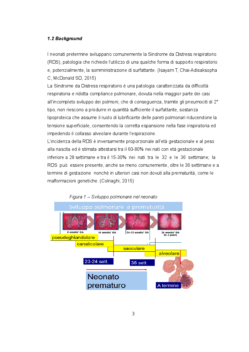 Anteprima della tesi: L'utilizzo della metodica LISA per la somministrazione di surfattante nei neonati prematuri con sindrome da distress respiratorio, Pagina 4