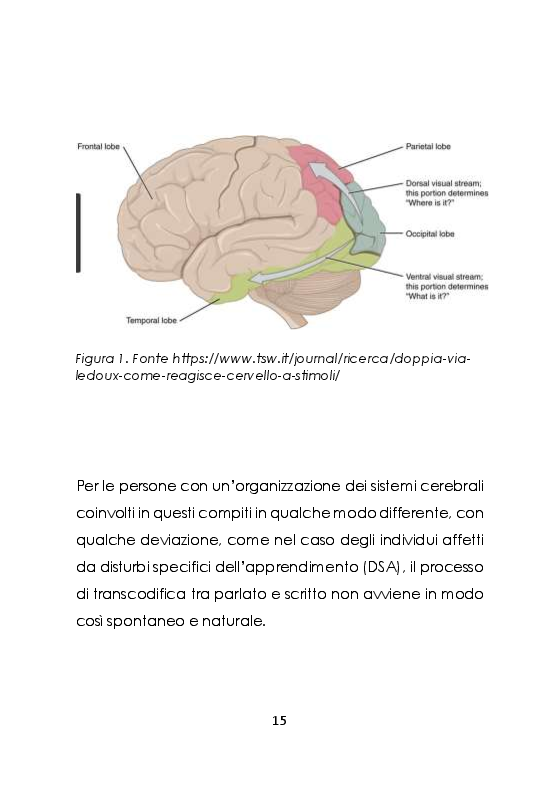 Anteprima della tesi: L'apprendimento visivo-non verbale di una lingua negli allievi con dislessia, Pagina 10