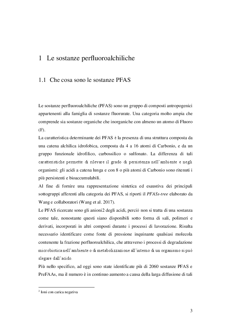 Anteprima della tesi: Analisi statistico spaziale dell'inquinamento idrico da sostanze perfluoroalchiliche PFAS nella Regione Veneto, Pagina 4