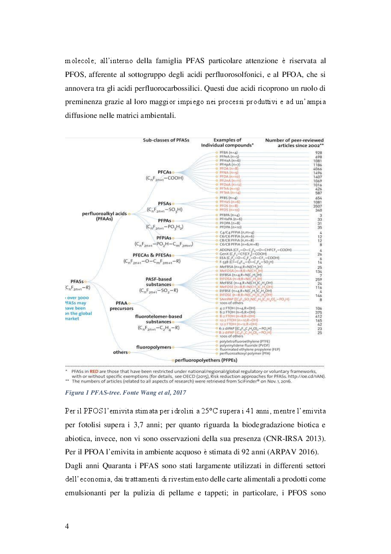 Anteprima della tesi: Analisi statistico spaziale dell'inquinamento idrico da sostanze perfluoroalchiliche PFAS nella Regione Veneto, Pagina 5