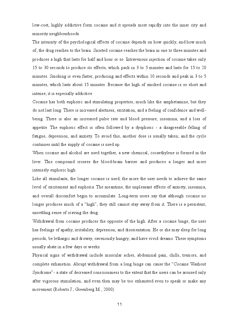 Anteprima della tesi: Drug Consumption Room: Different Harm Reduction Approach An Overview Between Holland And Italy, Pagina 10