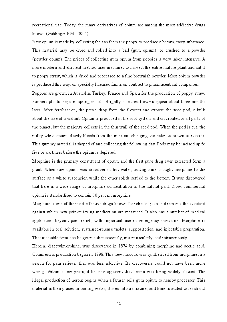 Anteprima della tesi: Drug Consumption Room: Different Harm Reduction Approach An Overview Between Holland And Italy, Pagina 12
