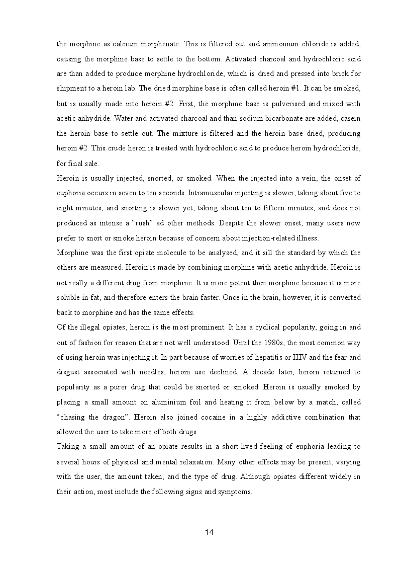 Anteprima della tesi: Drug Consumption Room: Different Harm Reduction Approach An Overview Between Holland And Italy, Pagina 13