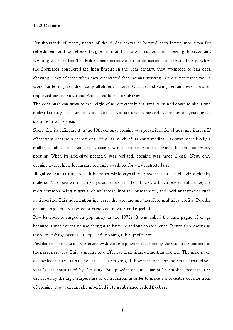 Anteprima della tesi: Drug Consumption Room: Different Harm Reduction Approach An Overview Between Holland And Italy, Pagina 8