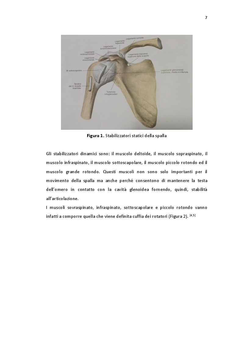 Anteprima della tesi: Protesi inversa di spalla in traumatologia indicazioni e risultati nell'esperienza della clinica ortopedica di Padova, Pagina 4