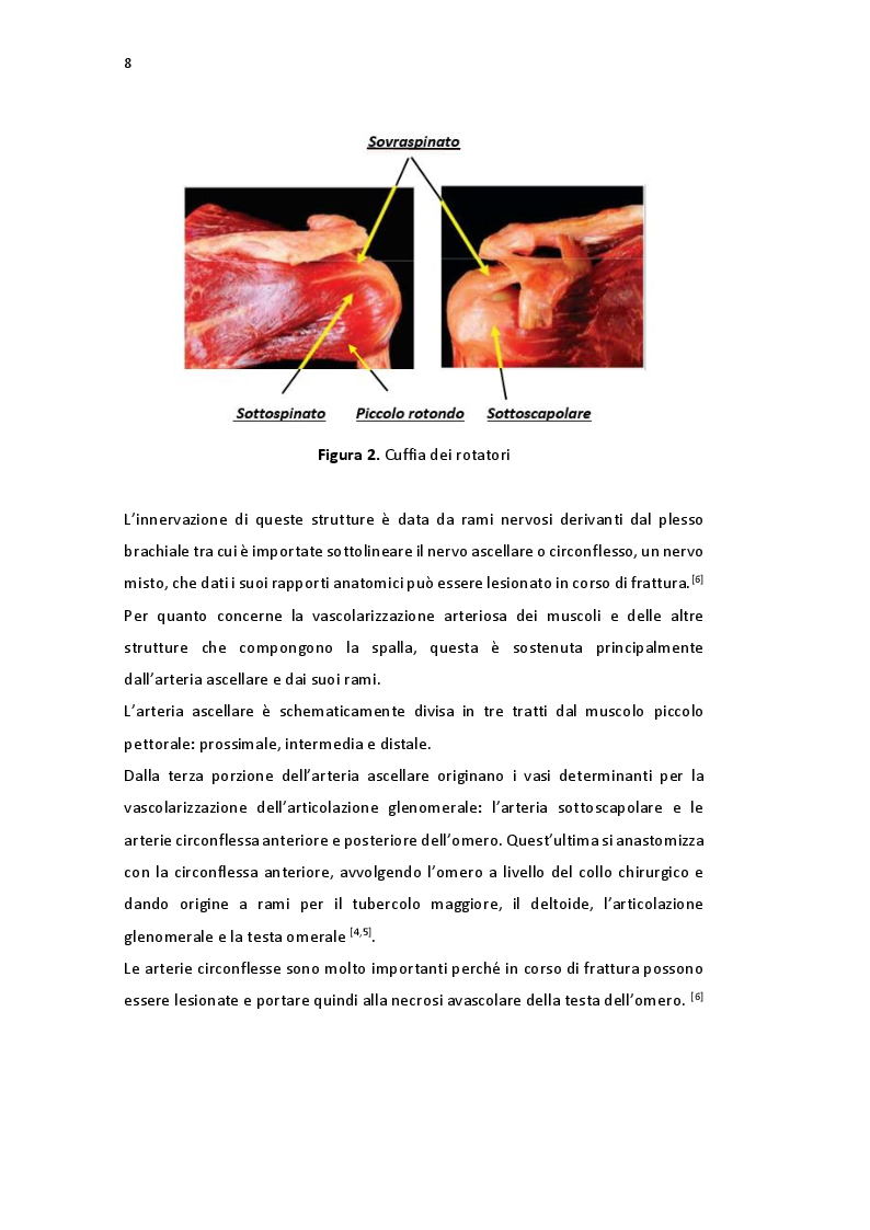 Anteprima della tesi: Protesi inversa di spalla in traumatologia indicazioni e risultati nell'esperienza della clinica ortopedica di Padova, Pagina 5