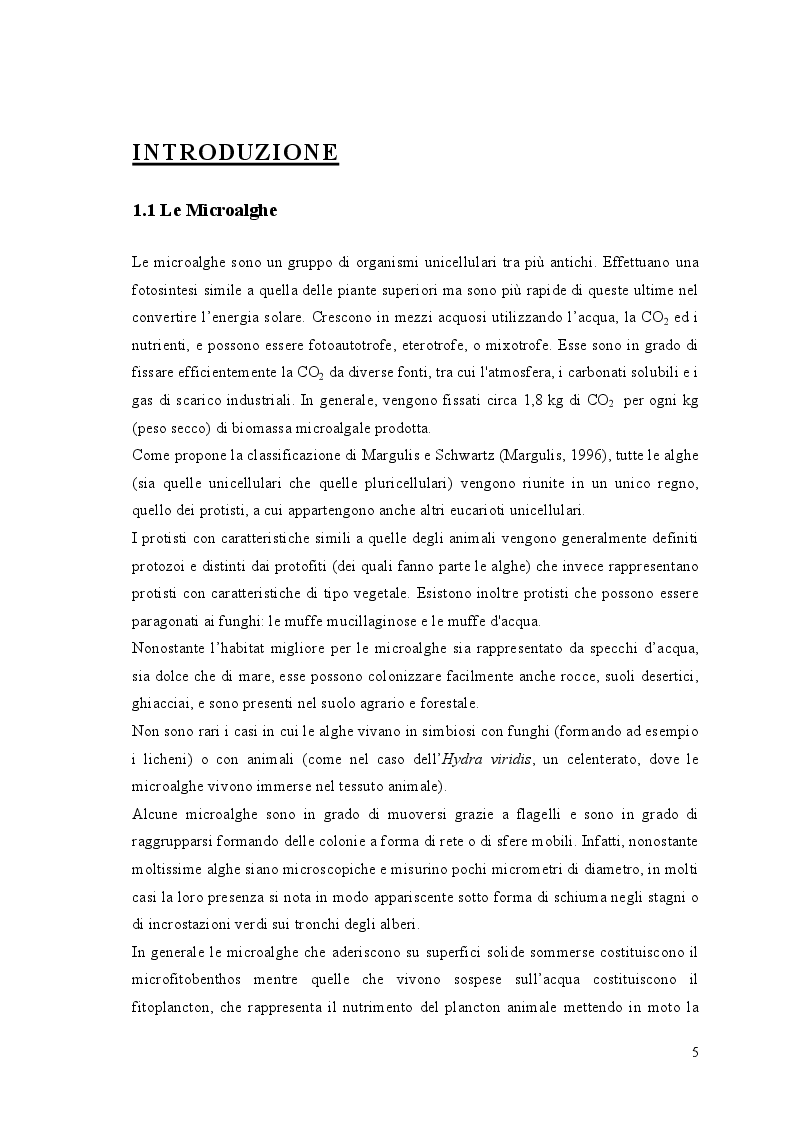 Anteprima della tesi: Crescita di Chlorella vulgaris in acque reflue da vinificazione: studio della cinetica di crescita e del contenuto in lipidi, Pagina 3