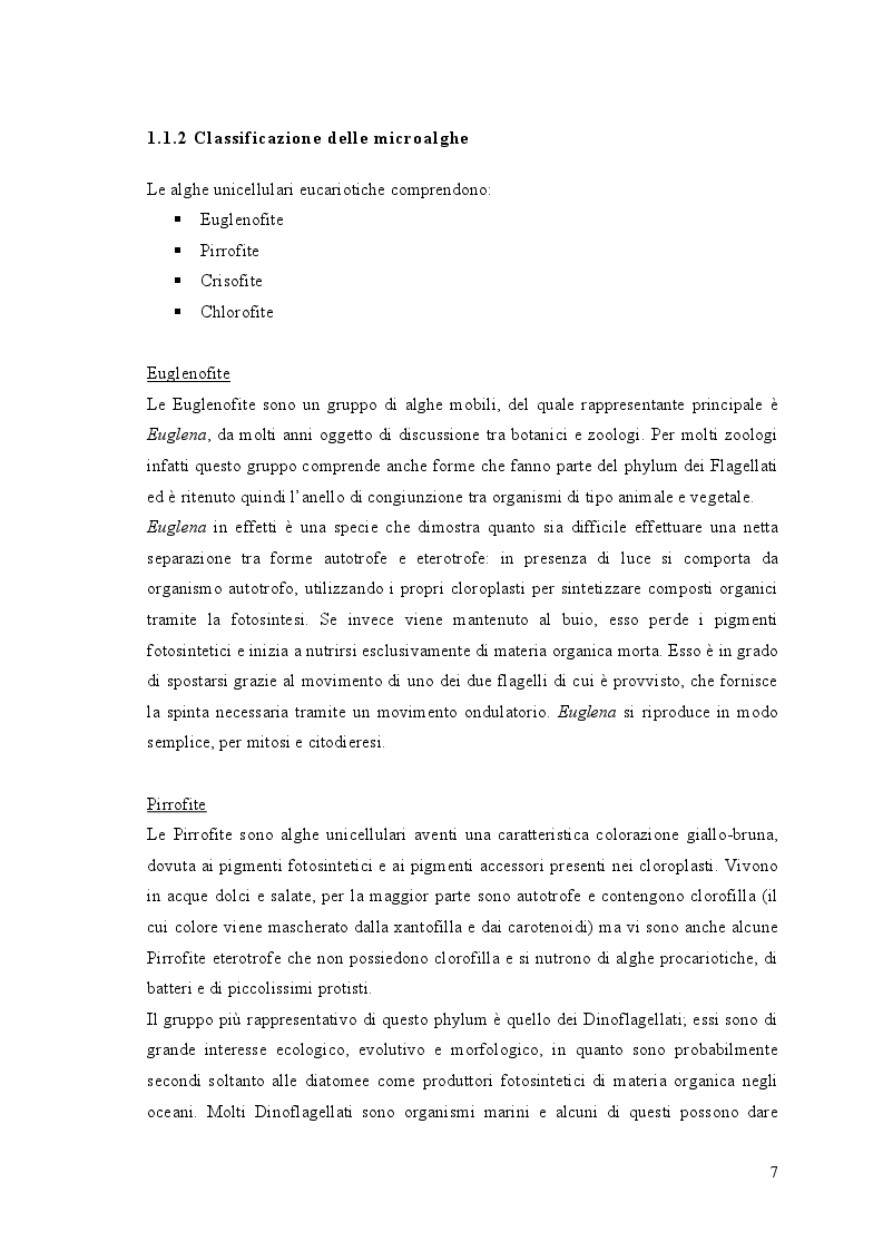 Anteprima della tesi: Crescita di Chlorella vulgaris in acque reflue da vinificazione: studio della cinetica di crescita e del contenuto in lipidi, Pagina 5