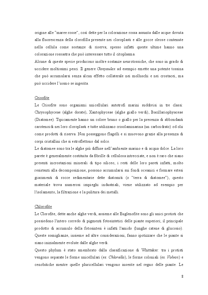 Anteprima della tesi: Crescita di Chlorella vulgaris in acque reflue da vinificazione: studio della cinetica di crescita e del contenuto in lipidi, Pagina 6