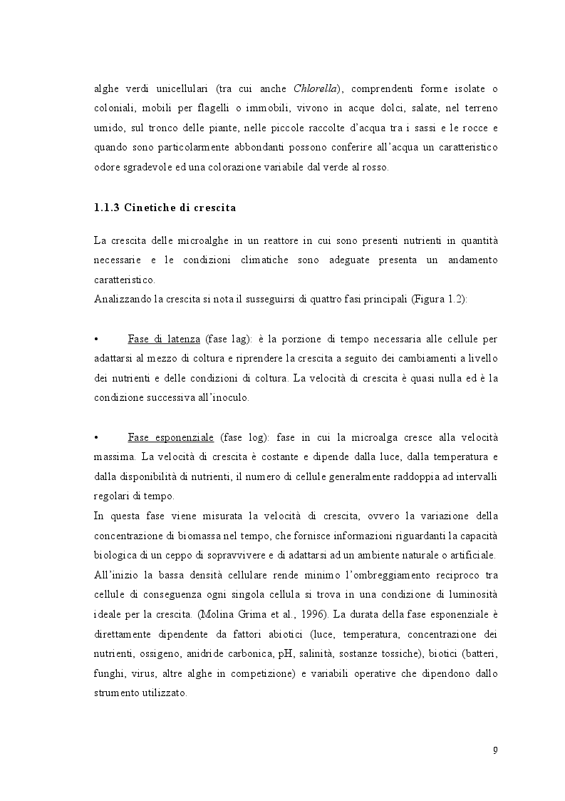 Anteprima della tesi: Crescita di Chlorella vulgaris in acque reflue da vinificazione: studio della cinetica di crescita e del contenuto in lipidi, Pagina 7