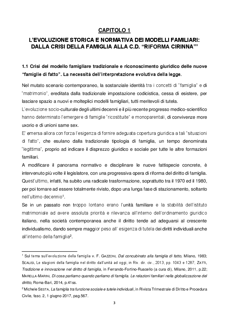 Anteprima della tesi: Stepchild adoption: lacune normative e ruolo dell'interprete, Pagina 4