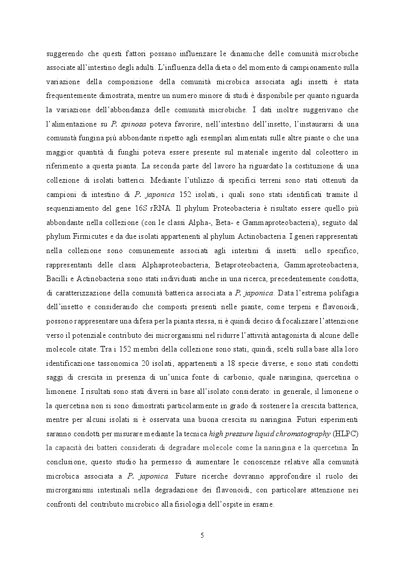 Anteprima della tesi: Studio della comunità microbica associata al coleottero giapponese Popillia japonica, Pagina 3
