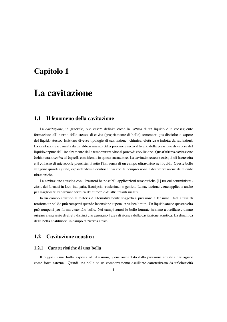 Anteprima della tesi: Interazione onde d'urto e nanobolle nella cavitazione farmaceutica, Pagina 3
