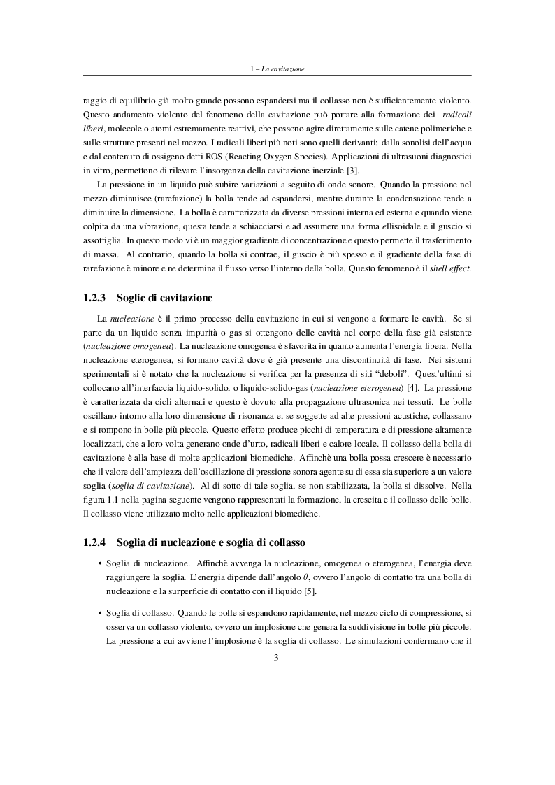 Anteprima della tesi: Interazione onde d'urto e nanobolle nella cavitazione farmaceutica, Pagina 5