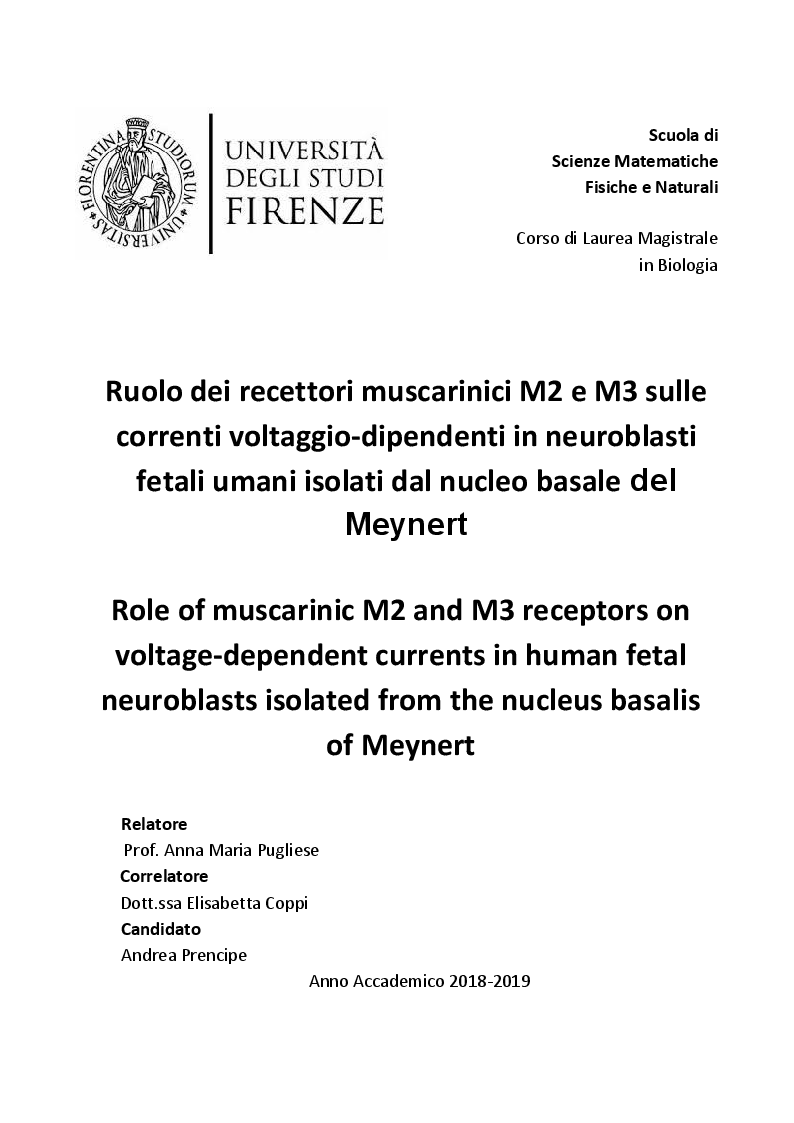 Anteprima della tesi: Ruolo dei recettori muscarinici M2 e M3 sulle correnti voltaggio-dipendenti in neuroblasti fetali umani isolati dal nucleo basale del Meynert, Pagina 1