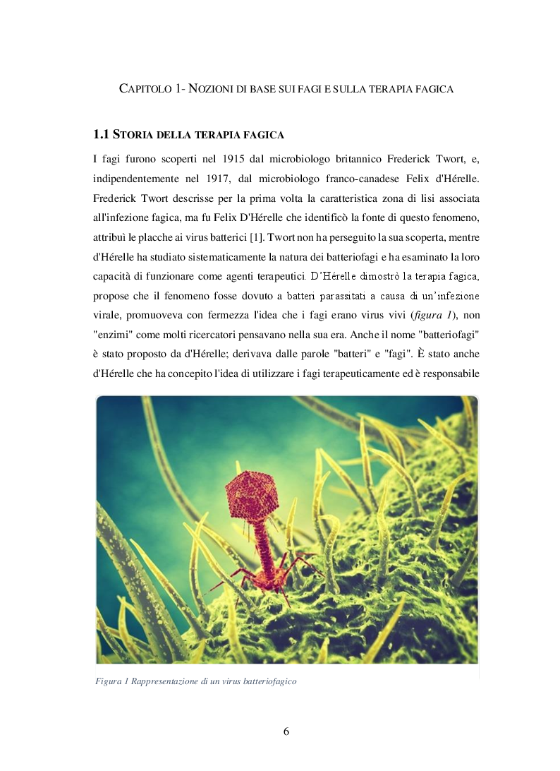 Anteprima della tesi: Batteriofagi: antibatterici naturali per contrastare la multifarmaco resistenza, Pagina 4