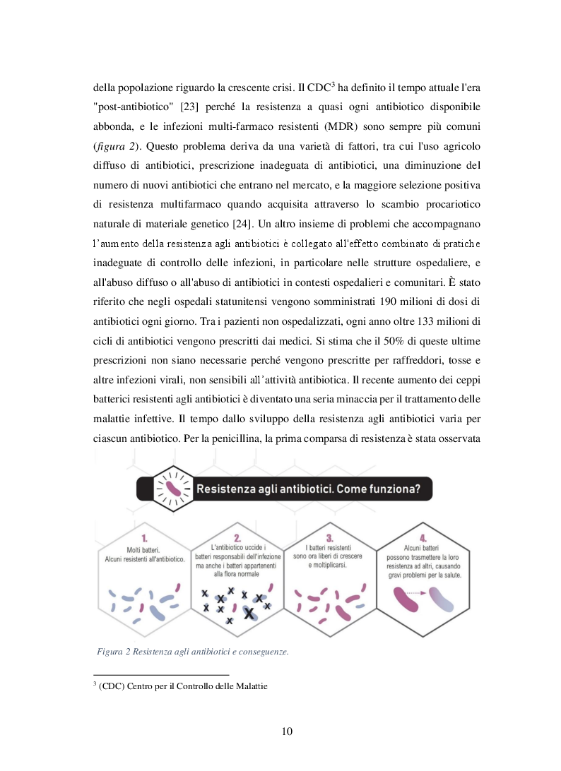 Anteprima della tesi: Batteriofagi: antibatterici naturali per contrastare la multifarmaco resistenza, Pagina 8