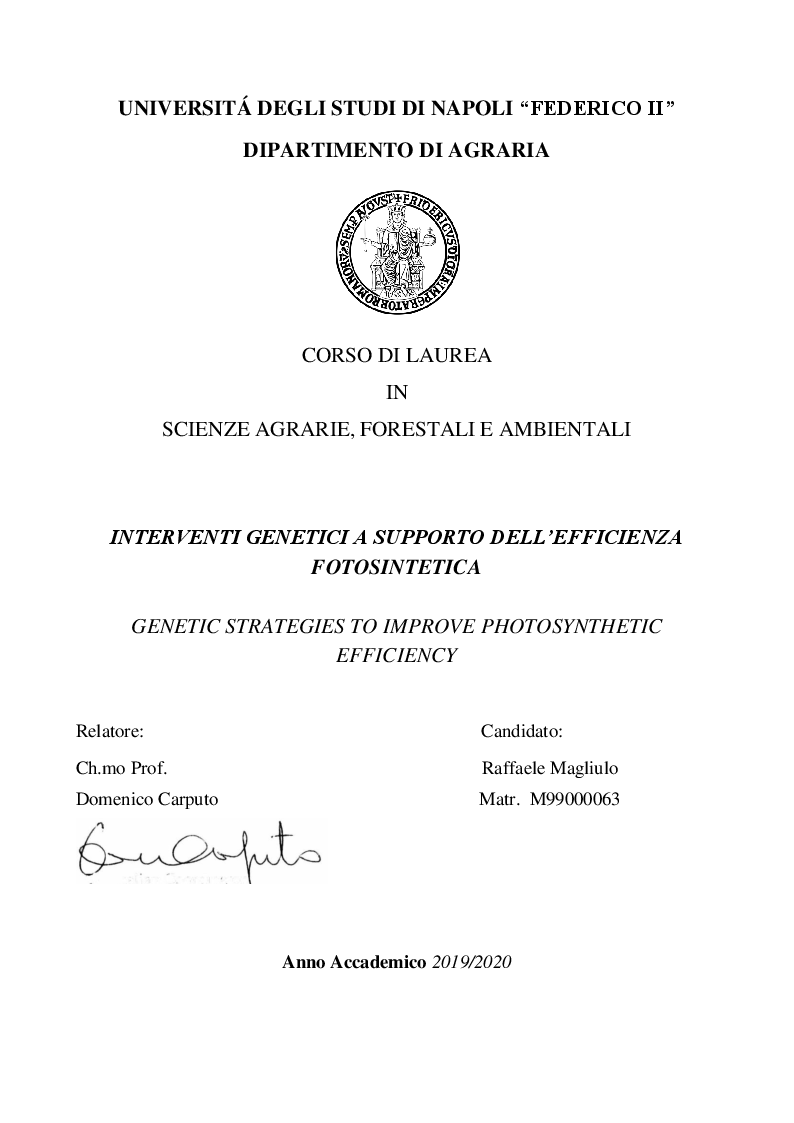 Anteprima della tesi: Interventi genetici a supporto dell'efficienza fotosintetica, Pagina 1