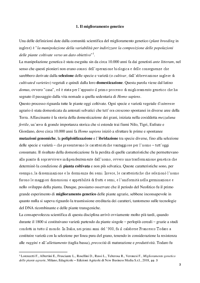 Anteprima della tesi: Interventi genetici a supporto dell'efficienza fotosintetica, Pagina 3