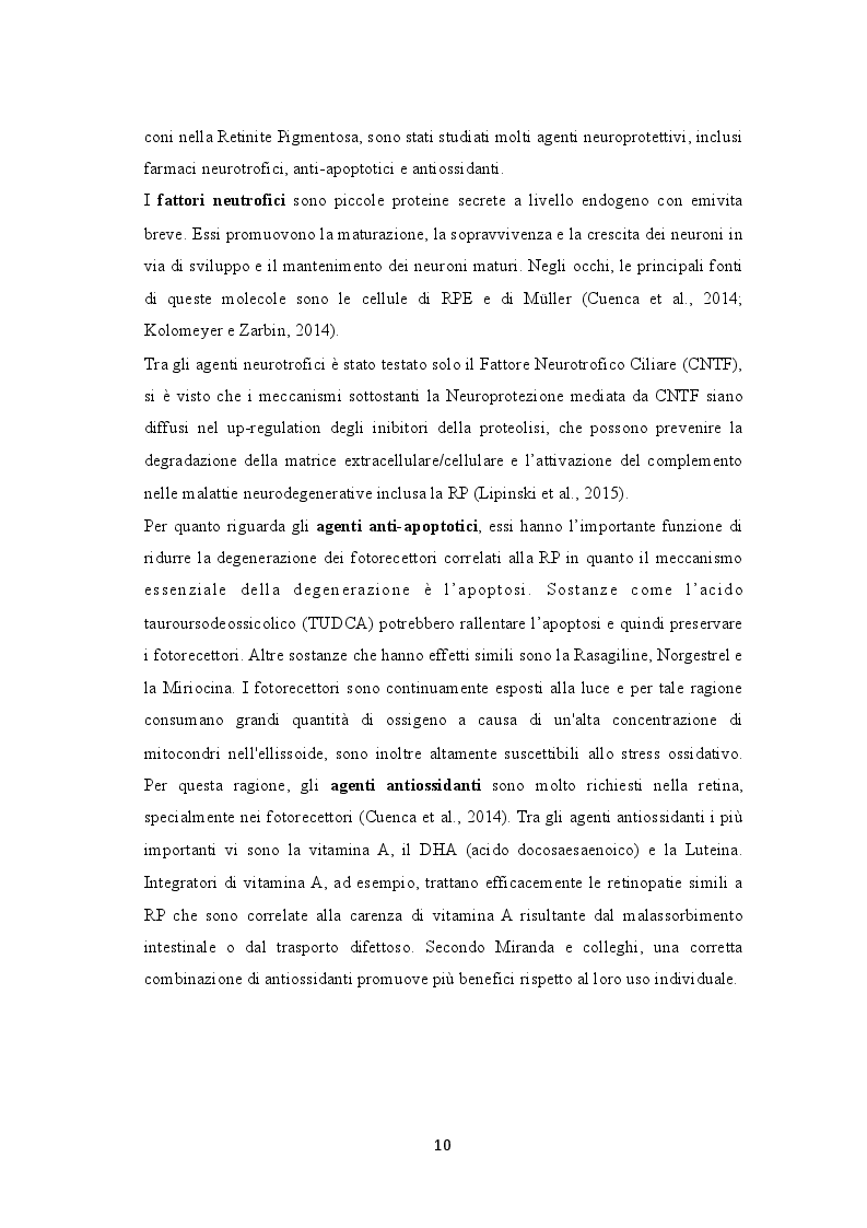 Estratto dalla tesi: Retinite Pigmentosa: Cause genetiche e conseguenze psicologiche