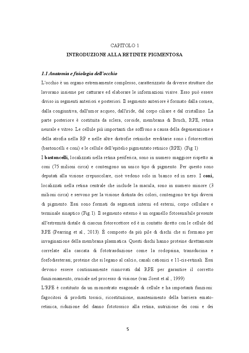 Anteprima della tesi: Retinite Pigmentosa: Cause genetiche e conseguenze psicologiche, Pagina 4