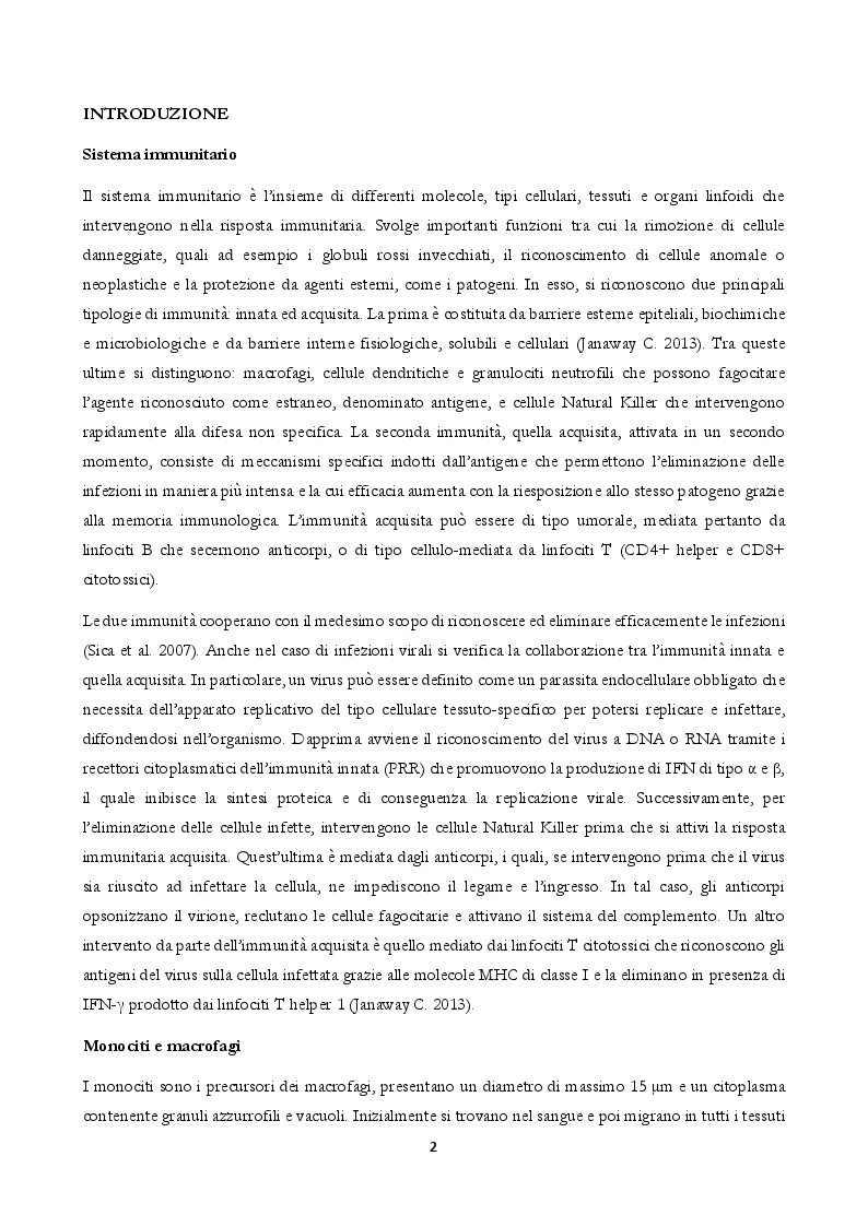 Anteprima della tesi: Ruolo della risposta immunitaria innata nell’infezione da Coronavirus SARS-CoV-2, Pagina 3