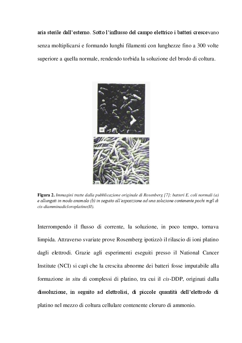 Anteprima della tesi: Derivati dell'ossaliplatino funzionalizzati con pirofosfato con potenziale selettività nei confronti dei tumori ossei, Pagina 5