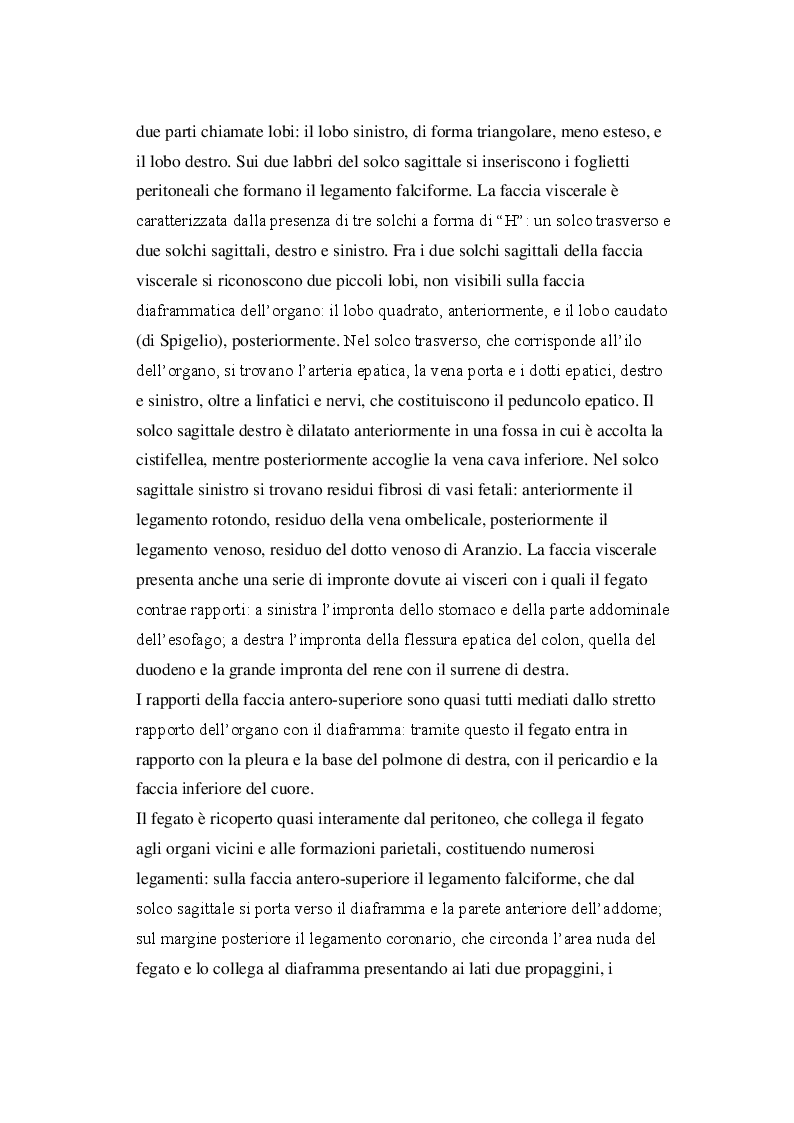 Anteprima della tesi: Utilizzo di mezzi di contrasto epatospecifici in risonanza magnetica nella diagnosi delle principali patologie focali epatiche, Pagina 5