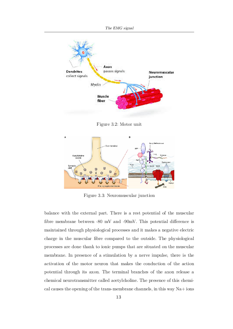 Anteprima della tesi: Mathematical programming applied to the decomposition of EMG signals, Pagina 8