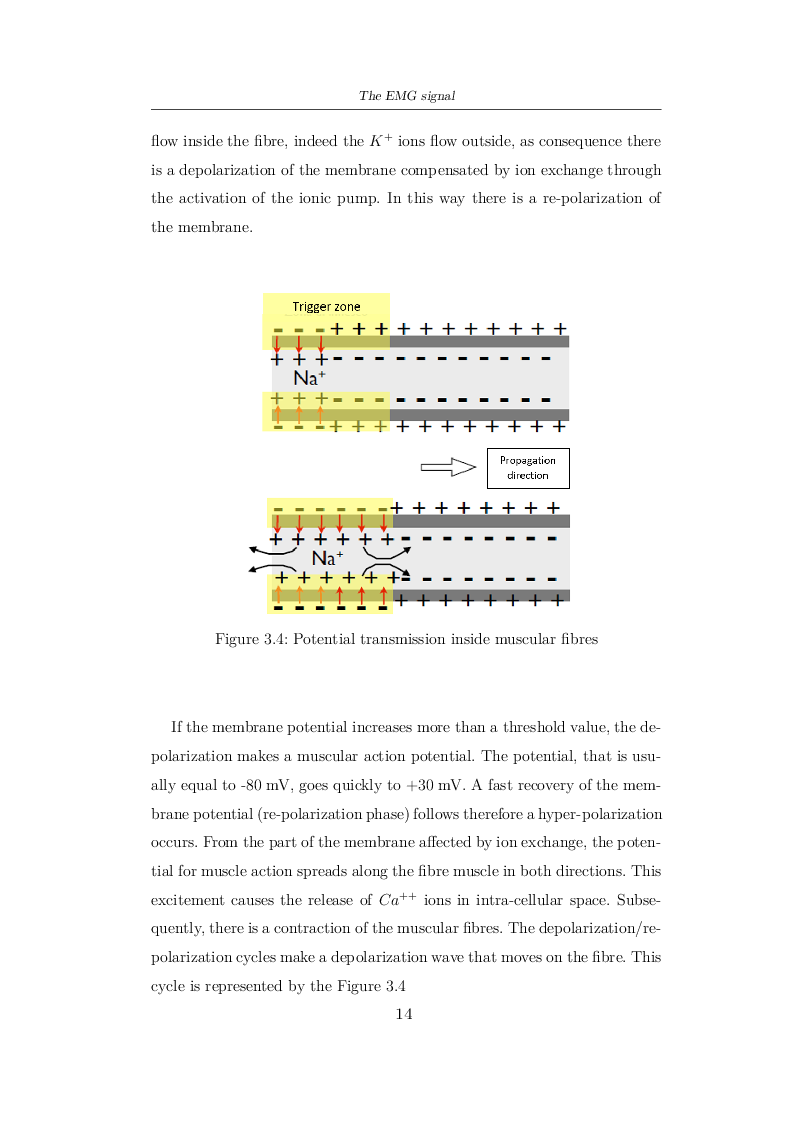 Anteprima della tesi: Mathematical programming applied to the decomposition of EMG signals, Pagina 9