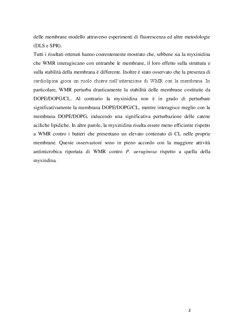 Anteprima della tesi: Interazione della myxinidina e del suo mutante WMR con doppi strati lipidici simulanti le membrane cellulari di P. aeruginosa ed E. coli, Pagina 3