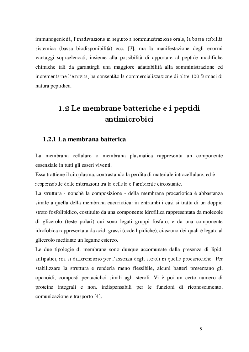 Anteprima della tesi: Interazione della myxinidina e del suo mutante WMR con doppi strati lipidici simulanti le membrane cellulari di P. aeruginosa ed E. coli, Pagina 6