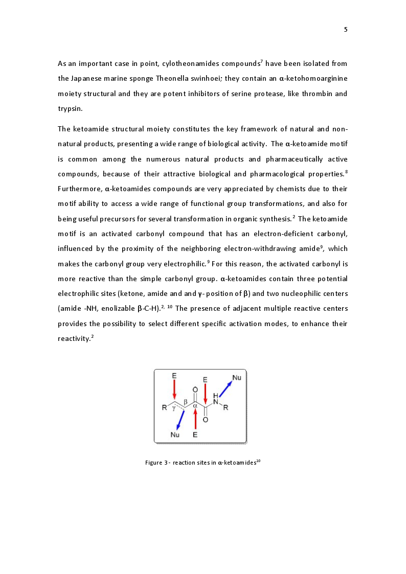 Anteprima della tesi: Methods of Preparation and Evaluation of the Biological Activity of α-Ketoamides, Pagina 4