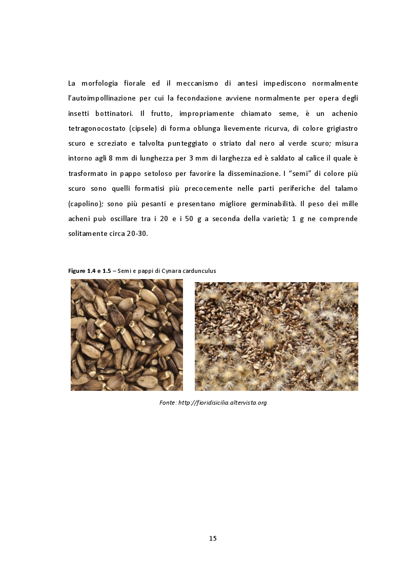 Anteprima della tesi: Valutazione ambientale del processo produttivo di schiuma poliuretanica da olio di semi di cardo in Umbria (Italia): uno studio LCA, Pagina 5