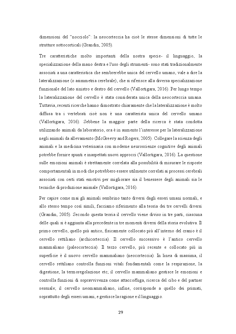 Anteprima della tesi: Il metodo Temple Grandin applicato all'analisi dei bovini da carne allevati in Italia, Pagina 3