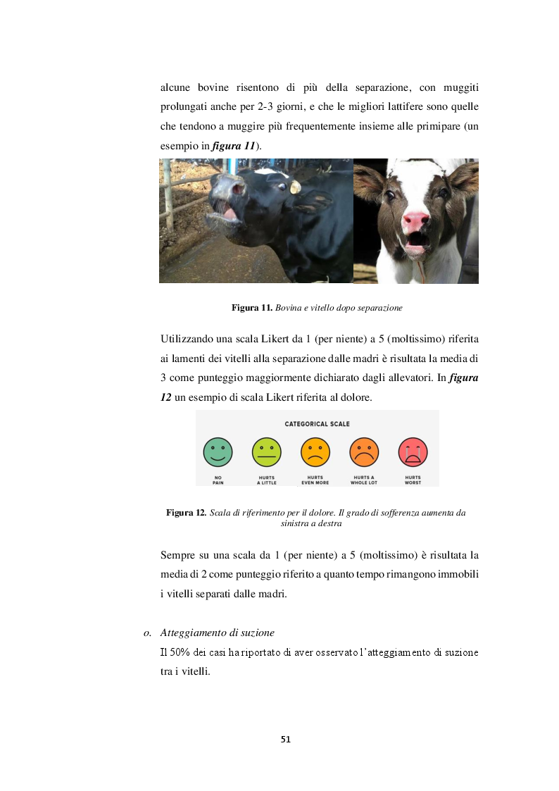 Anteprima della tesi: Il benessere delle bovine lattifere: indagine conoscitiva, Pagina 7