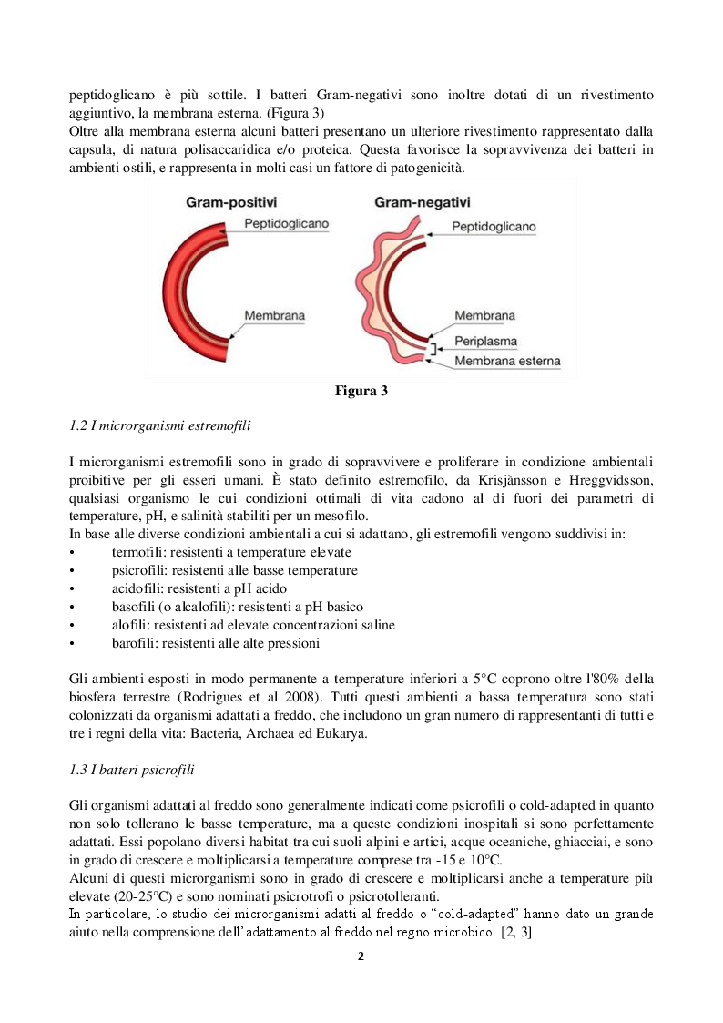 Anteprima della tesi: Estrazione ed analisi di lps da Pseudoalteromonas nigrifaciens SQ02, Pagina 3