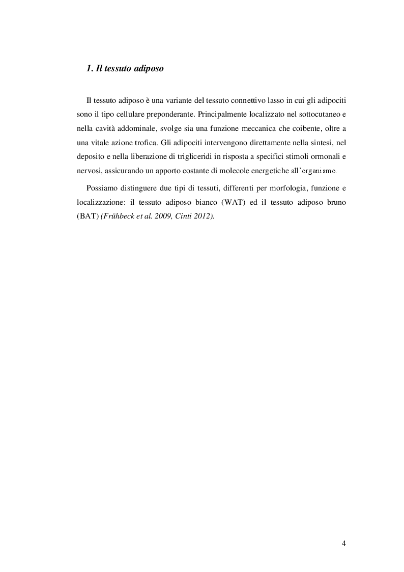 Anteprima della tesi: Irisina e browning del tessuto adiposo, Pagina 3