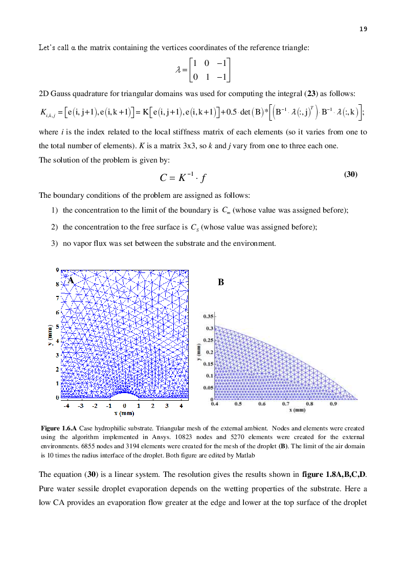 Anteprima della tesi: Contributions to modeling and applications of superhydrophobic surfaces for self-assembly of biological materials, Pagina 5